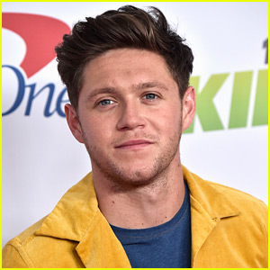 Niall Horan Had The Funniest Answer to a Fan Asking Why He Was So Cute