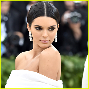 Cops Were Called After Kendall Jenner's Dog Reportedly Bit a Little Girl