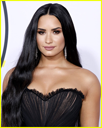 Police Shut Down Plans To Rob Demi Lovato's House While She Is In Rehab