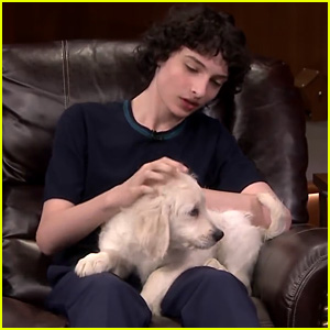 Finn Wolfhard Holds Adorable Puppies on 'Fallon' - Watch Now!