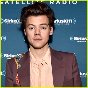 Harry Styles Inspired New TV Show 'Happy Together' By Living in Producer Ben Winston's Attic