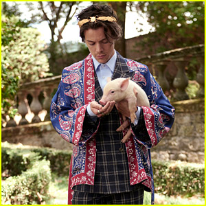 Harry Styles Takes Pics With Cute Animals for Gucci's Cruise 2019 Campaign!