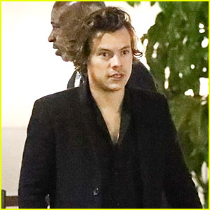 Harry Styles Attends The Eagles' Concert With a Very Famous Family