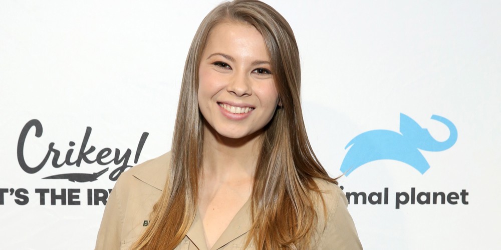 Bindi Irwin Addresses All Those Rumors That She & Chandler Powell Are ...