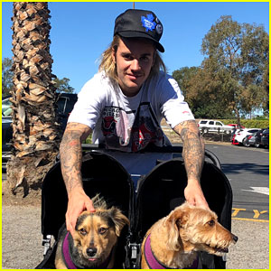 Justin Bieber Hangs Out With Pair of Cute Pups While Out in LA