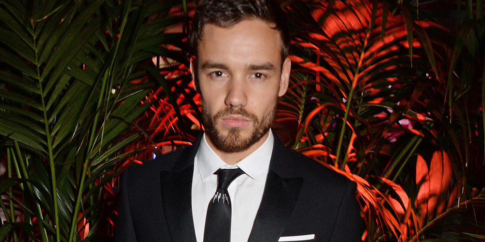 Liam Payne & Cheryl Cole Were Supposed to Duet on Jonas Blue’s ‘Polaroid’