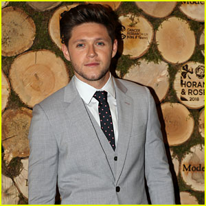 Niall Horan Slams Donald Trump Over Pittsburgh Synagogue Shooting Comments