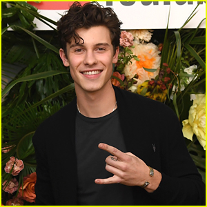 Shawn Mendes Says Hi To Fans on Twitter With Cute Message: 'I'm Seeing Everything You Guys Are Supporting. I Love You'
