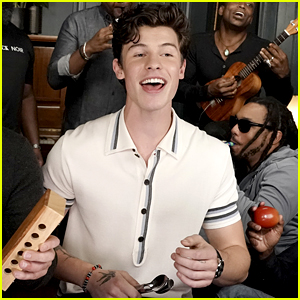 Shawn Mendes Sings 'Treat You Better' Using Classroom Instruments on 'Tonight Show' - Watch!
