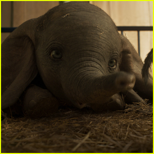 The Latest Trailer for 'Dumbo' is Too Cute - Watch Now!
