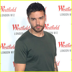 Liam Payne Gives Update on His Home Amid Woolsey Fire