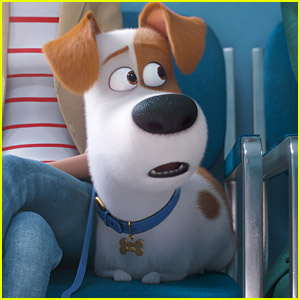 'The Secret Life of Pets 2' Teaser Trailer Is Here - Watch Now!