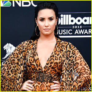 Demi Lovato Asks Tabloids to Stop Posting Fake Stories