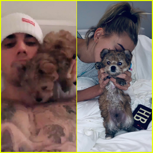 Justin & Wife Hailey Bieber Adopt New Puppy - Meet Oscar!