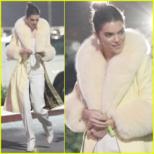 Kendall Jenner Heads to a Concert with Friends!