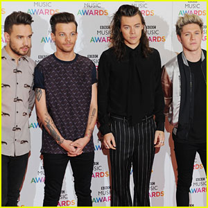 Liam Payne Says One Direction Might Have a Holiday Reunion!