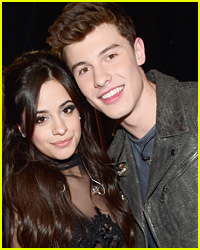 Is There Another Camila Cabello & Shawn Mendes Collab Coming?