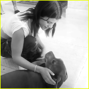 Sofia Richie Mourns the Death of Her Beloved Dog Jake