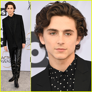 Timothee Chalamet Wears Leather Pants To SAG Awards 2019