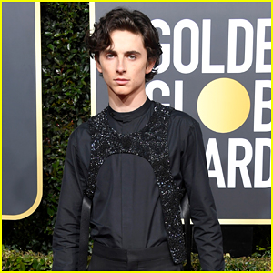 Timothee Chalamet Slays in Sparkly Harness at Golden Globes 2019