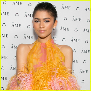 Zendaya Updates Fans With Funny Videos After Getting Her Wisdom Teeth Out
