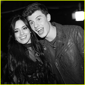 Shawn Mendes & Camila Cabello Share Cute Messages To Each Other After Grammys Performances