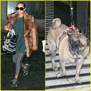 Leigh-Anne Pinnock Brings Pug Harvey To BBC Radio Stop With Little Mix