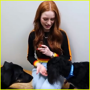 Madelaine Petsch Almost Took Home 5 Dogs In Her Latest Vlog After Visiting Animal Rehab Foundation