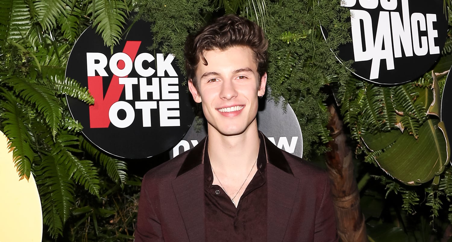 Shawn Mendes & Jack & Jack Attend Island Records Pre-Grammys Event