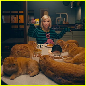Carly Rae Jepsen Celebrates Love Of Cats in 'Now That I Found You' Music Video!