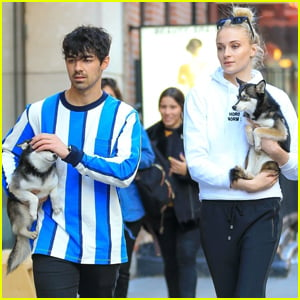 Joe Jonas & Sophie Turner Step Out With Their Sweet Puppies!