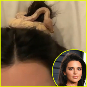 Kendall Jenner Adopts New Pet Snake!