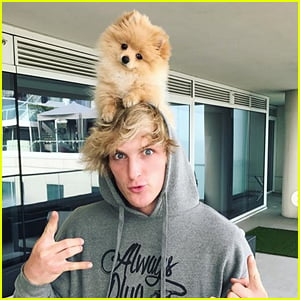 Logan Paul's Beloved Dog Kong Killed by a Coyote