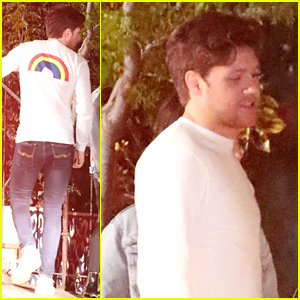 Niall Horan Pairs Rainbow Shirt With Fitted Jeans for Fun Night Out