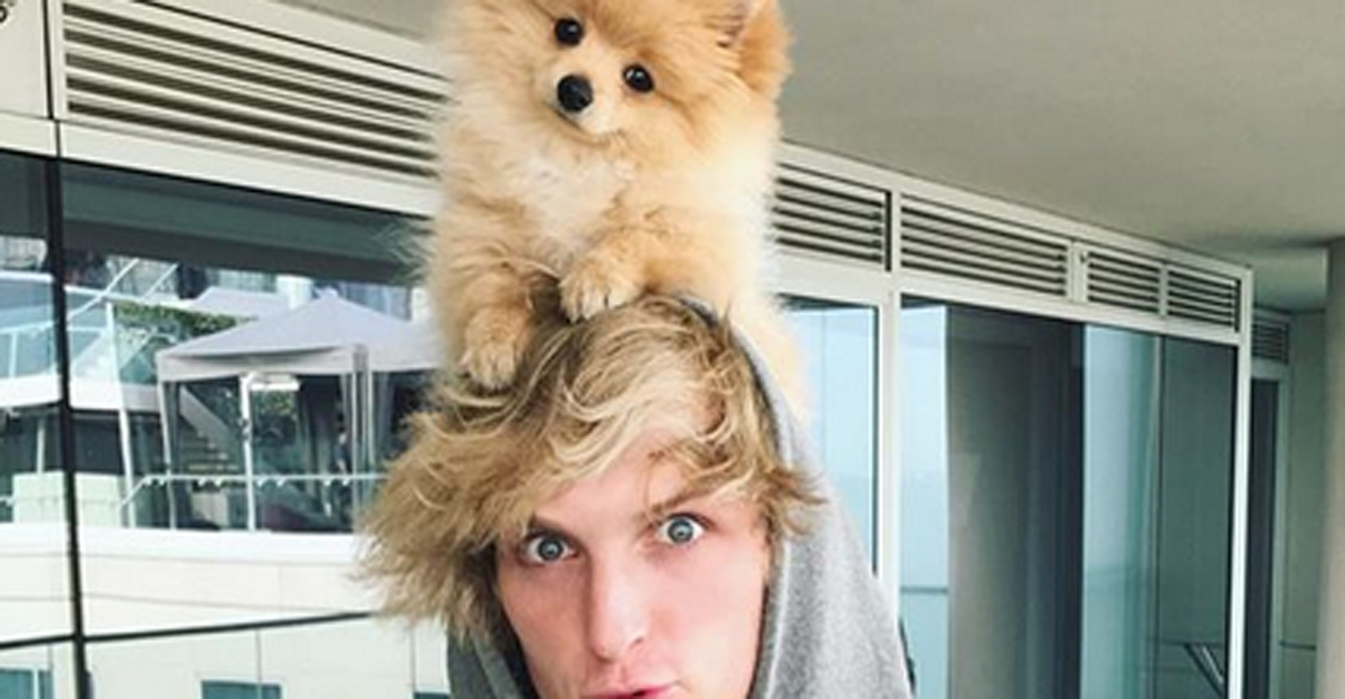 Logan Paul s Beloved Dog Kong Killed by a Coyote Celebrity Pets