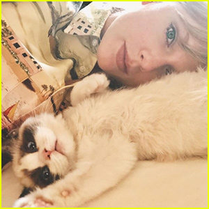 Taylor Swift Shares Her New Cat's Adorable Name!
