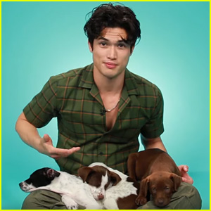 Charles Melton Reveals He Was Once The #1 Dog Walker in Los Angeles