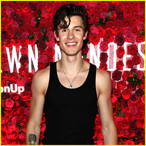 Shawn Mendes Performs Special NYC Concert & Looks So Hot in a Tank Top!