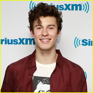 Shawn Mendes' New Song 'If I Can't Have You' Was Originally Meant For This Other Artist