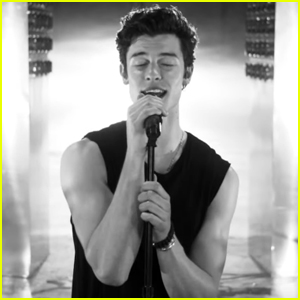 Shawn Mendes Goes Hot & Heavy in 'If I Can't Have You' Music Video - Watch!