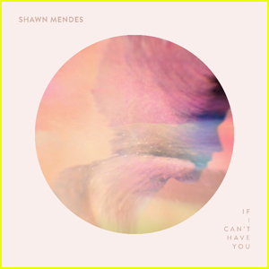 Shawn Mendes Releases New Single 'If I Can't Have You' - Listen Now!