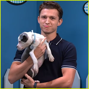 Tom Holland Helps Rescue Puppies Get Adopted