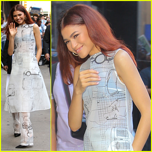 Zendaya Had Pigeons Swarm Her While Filming on 'Spider-Man: Far From Home'