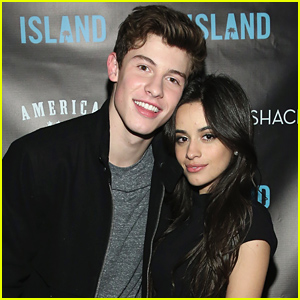 Shawn Mendes & Camila Cabello Have a Date Night at Blink-182 Concert