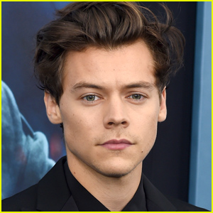 Harry Styles Could Play Prince Eric in 'The Little Mermaid'