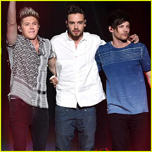 Niall Horan, Liam Payne & Louis Tomlinson All Celebrate One Direction's 9th Anniversary