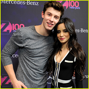 Shawn Mendes & Camila Cabello Aren't 'Looking to Get Into Anything Serious'