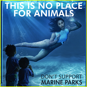 Eva Gutowski Urges Fans Not To Go To Marine Parks In New PETA Ad