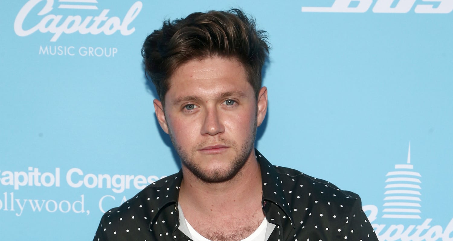 Niall Horan Reveals Title of Next Single, Album On The Way!