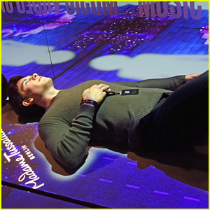 You Can Lay Down With Shawn Mendes' New Wax Figure